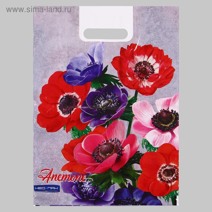 Пакет "Анемоны", полиэтиленовый с вырубной ручкой, 30х40 см, 60 мкм
Пакет "Анемоны", полиэтиленовый с вырубной ручкой, 30х40 см, 60 мкм