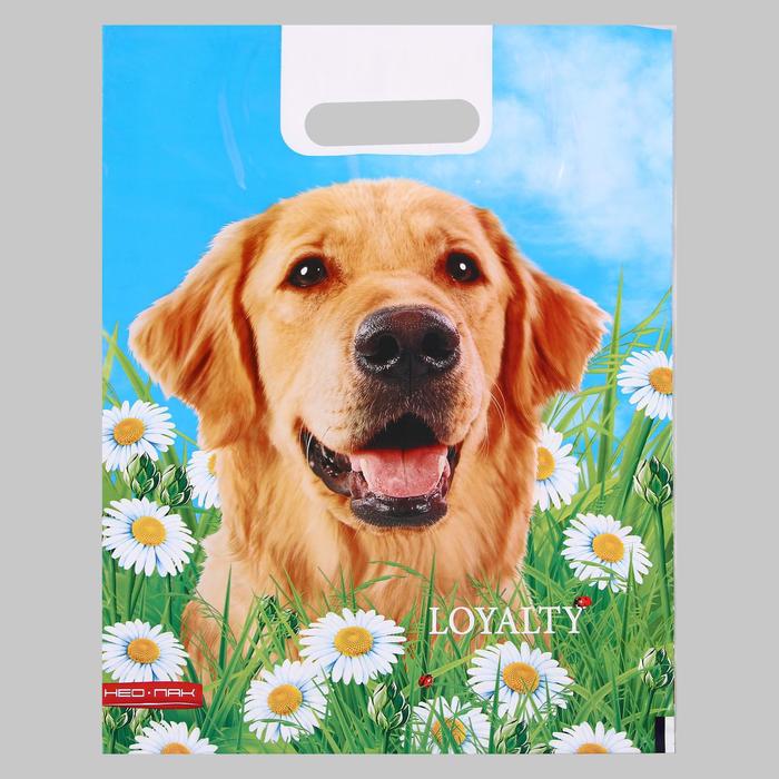 Пакет "Верность", полиэтиленовый с вырубной ручкой, 30х40 см, 60 мкм
Пакет "Верность", полиэтиленовый с вырубной ручкой, 30х40 см, 60 мкм