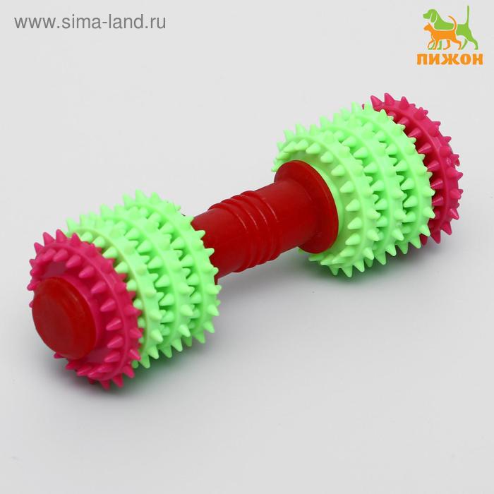 Игрушка жевательная 15,5 х 5,5 см, микс цветов
Игрушка жевательная 15,5 х 5,5 см, микс цветов