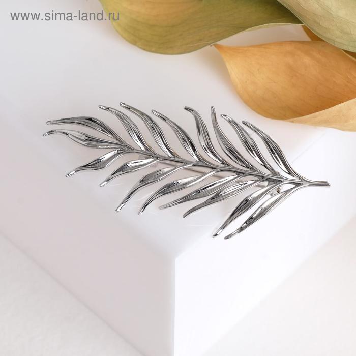 Брошь "Лист" папоротника, цвет серебро
Брошь "Лист" папоротника, цвет серебро