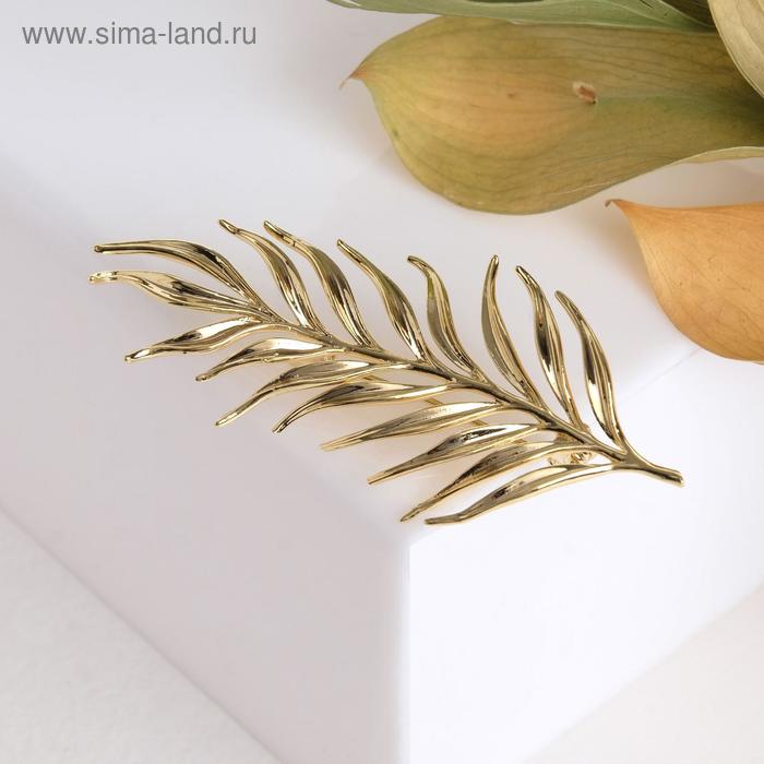 Брошь "Лист" папоротника, цвет золото
Брошь "Лист" папоротника, цвет золото