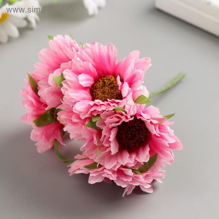 Набор декоративных цветов 6 см, 6 шт, розовый
Набор декоративных цветов 6 см, 6 шт, розовый