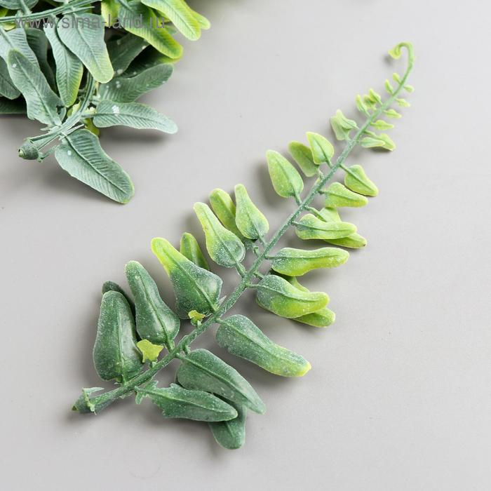 Набор декоративных листиков "Астра 62" 13 см(4шт), зелёный
Набор декоративных листиков "Астра 62" 13 см(4шт), зелёный