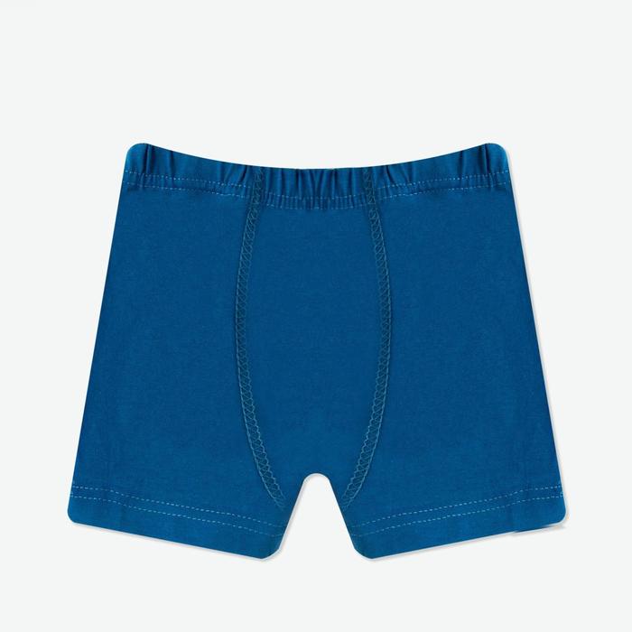 Трусы-боксеры для мальчика, цвет микс, рост 128
Трусы-боксеры для мальчика, цвет микс, рост 128