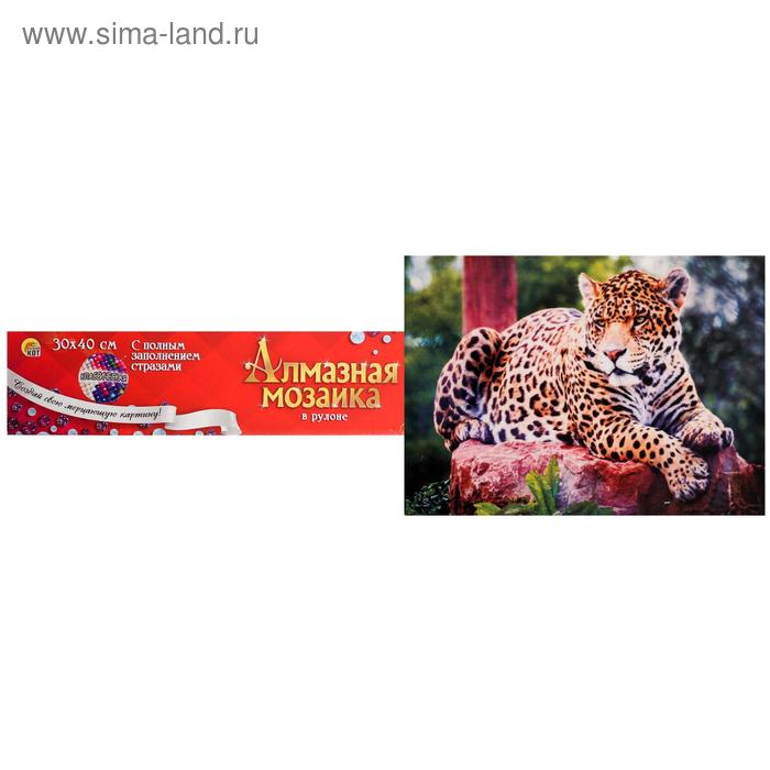 Алмазная мозаика 30×40 см, классическая, полное заполнение, б/ подрамника, «Леопард на отдыхе»
Алмазная мозаика 30×40 см, классическая, полное заполнение, б/ подрамника, «Леопард на отдыхе»