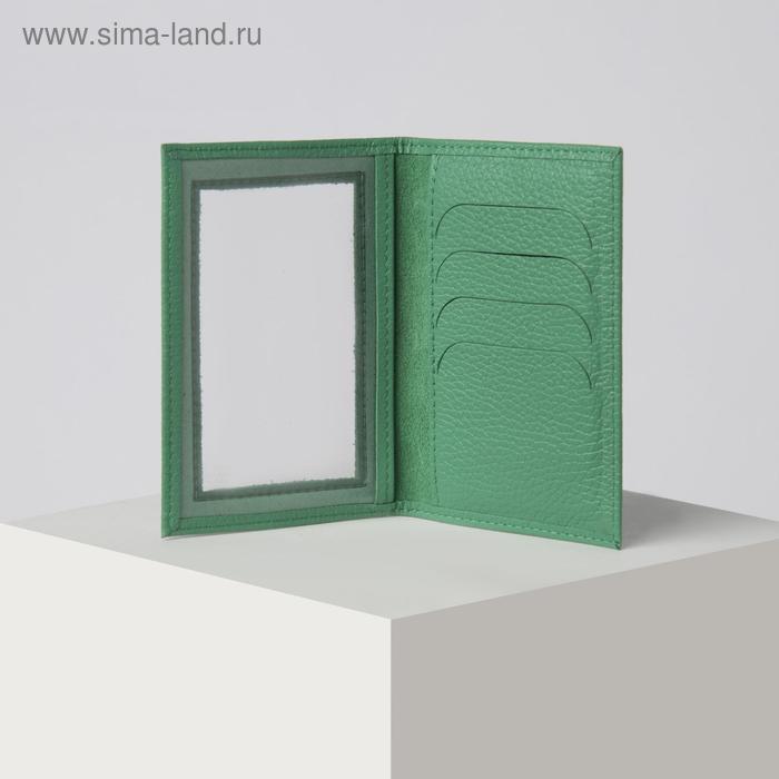 Обложка для документов, с окошком, цвет зелёный
Обложка для документов, с окошком, цвет зелёный