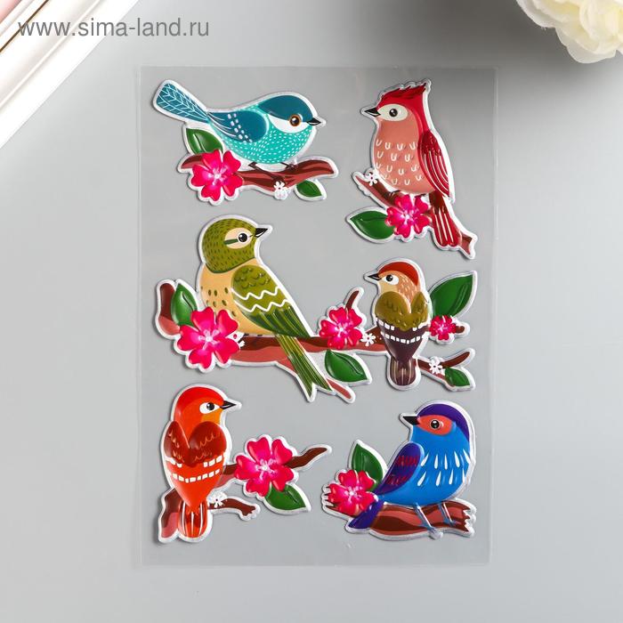 Наклейка пластик выпуклый "Птицы" МИКС 27х15 см
Наклейка пластик выпуклый "Птицы" МИКС 27х15 см