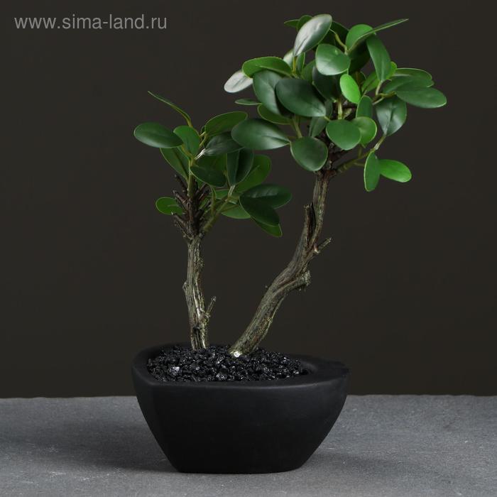 Кашпо Сердечко черное, 11 х 12,5 х 5 см
Кашпо Сердечко черное, 11 х 12,5 х 5 см