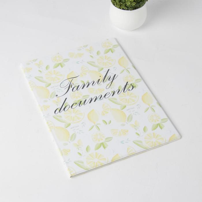 Папка для семейных документов, 2 комплекта, цвет белый
Папка для семейных документов, 2 комплекта, цвет белый