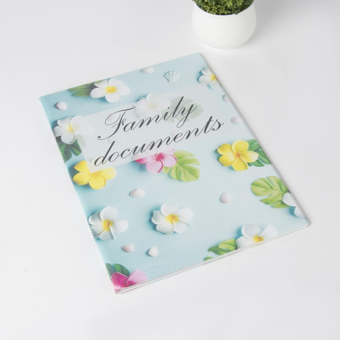 Папка для семейных документов, 3 комплекта, цвет голубой
Папка для семейных документов, 3 комплекта, цвет голубой