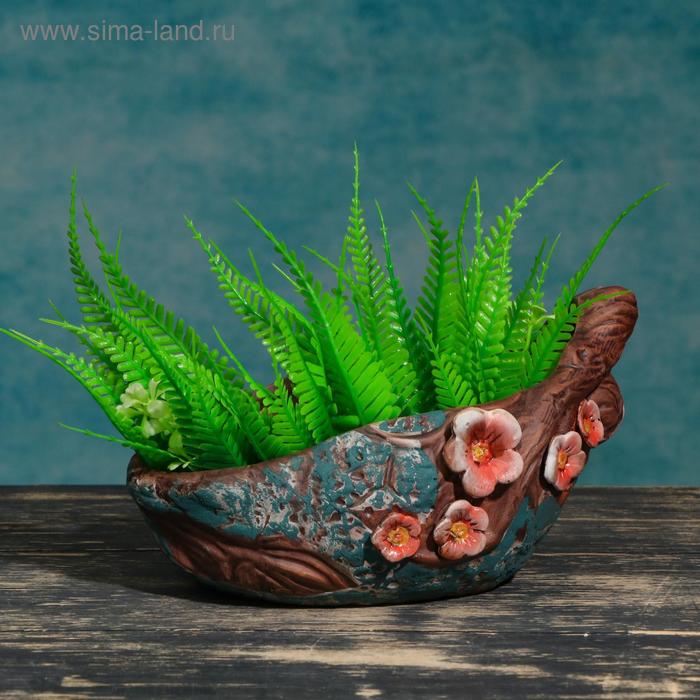 Горшок - бонсайница "Раковина" 16*16*11см
Горшок - бонсайница "Раковина" 16*16*11см