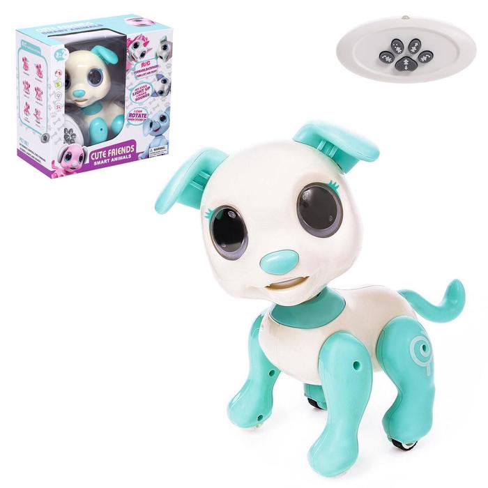 Робот-собака «Питомец: Щенок», световые и звуковые эффекты, цвет бирюзовый
Робот-собака «Питомец: Щенок», световые и звуковые эффекты, цвет бирюзовый