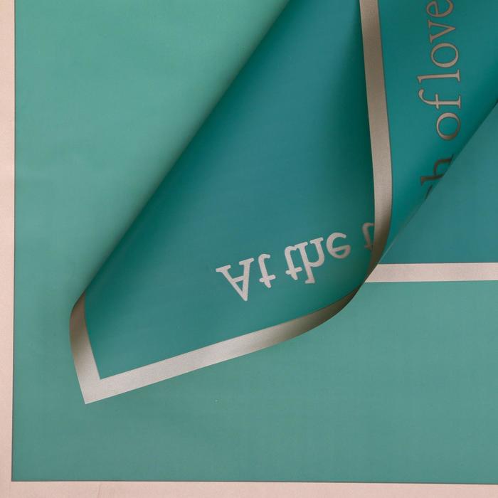 Плёнка матовая "Прикосновение любви" изумрудный, 0,58 х 0,58 м
Плёнка матовая "Прикосновение любви" изумрудный, 0,58 х 0,58 м