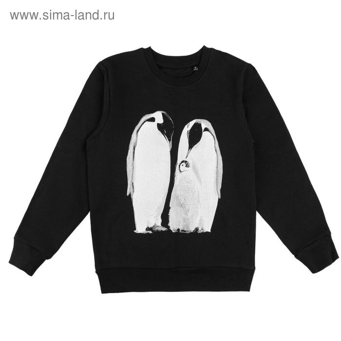 Свитшот для мальчиков Like a Penguin, размер 6 лет, цвет чёрный
Свитшот для мальчиков Like a Penguin, размер 6 лет, цвет чёрный
