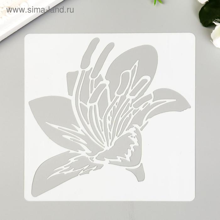 Трафарет пластик "Лилия" 13х13 см
Трафарет пластик "Лилия" 13х13 см
