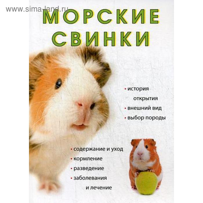 Морские свинки
Морские свинки
