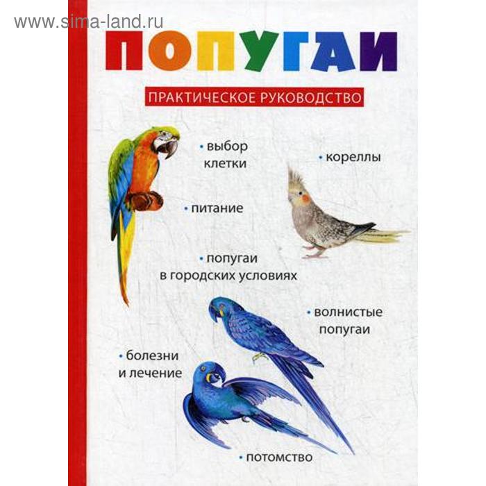 Попугаи
Попугаи