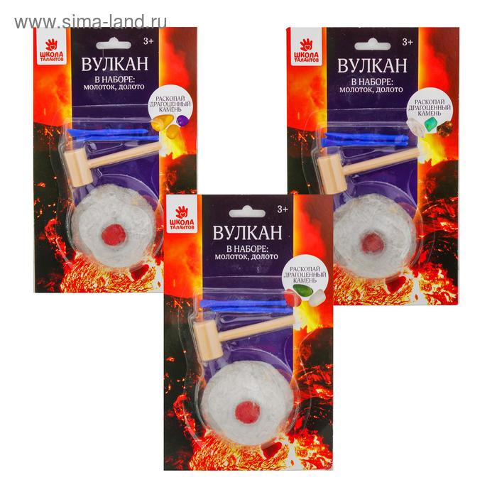 Набор археолога серия вулкан «Ископаемые» молоток, долото , МИКС
Набор археолога серия вулкан «Ископаемые» молоток, долото , МИКС
