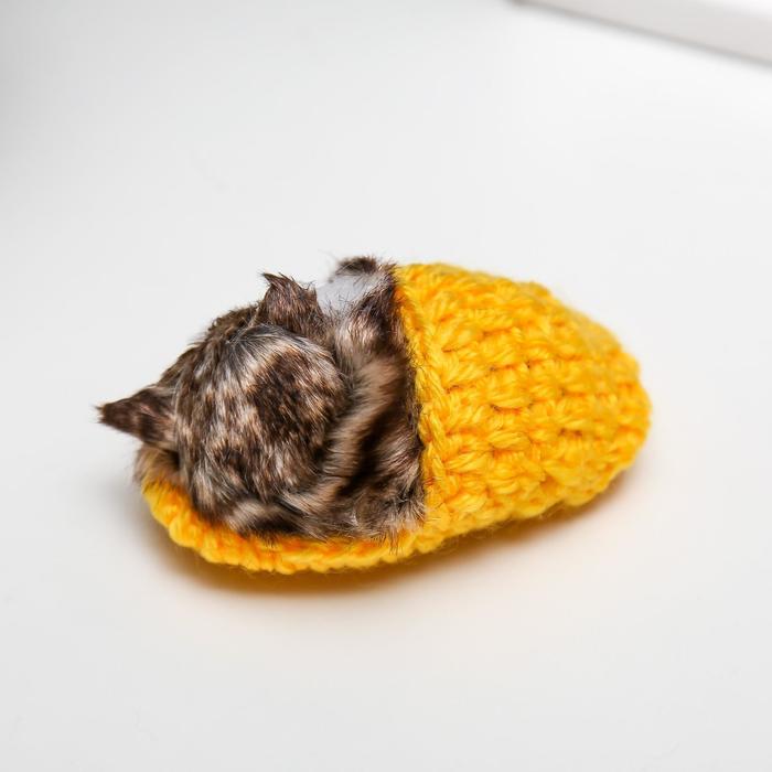 фото Пушистик кот в тапочке, микс