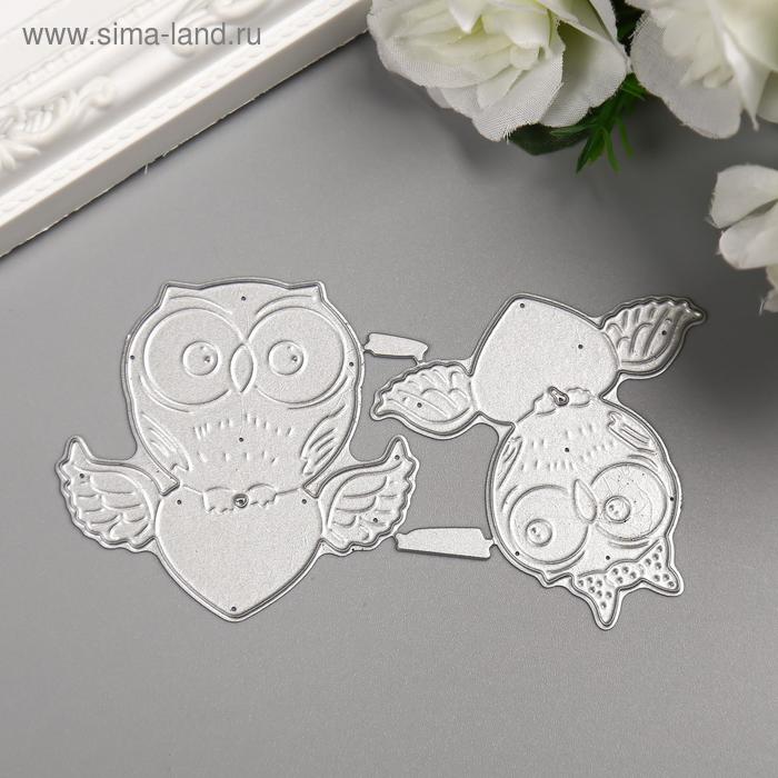 Нож для вырубки сталь "Совята с сердечками" набор 2 элемента 10х6 см
Нож для вырубки сталь "Совята с сердечками" набор 2 элемента 10х6 см
