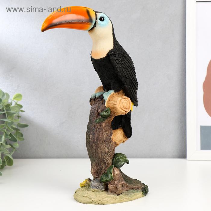 Сувенир полистоун "Тукан" 30,3х12,3х9 см 
Сувенир полистоун "Тукан" 30,3х12,3х9 см