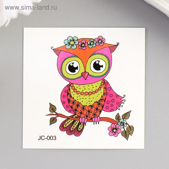 Татуировка на тело цветная "Совёнок на цветочной ветке" 6х6 см
Татуировка на тело цветная "Совёнок на цветочной ветке" 6х6 см