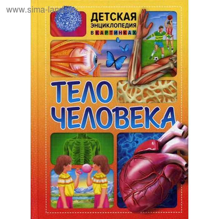 Тело человека. Детская энциклопедия к картинках. Ред. Феданова Ю., Скиба Т.
Тело человека. Детская энциклопедия к картинках. Ред. Феданова Ю., Скиба Т.