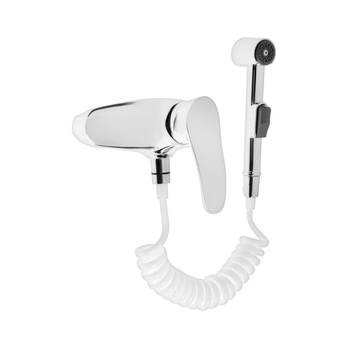 Смеситель для биде ARCO А50, однорычажный, настенный, с гигиеническим душем, хром
Смеситель для биде ARCO А50, однорычажный, настенный, с гигиеническим душем, хром