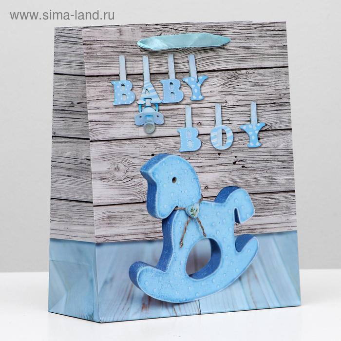 Пакет ламинированный, 26 x 32 x 12 см
Пакет ламинированный, 26 x 32 x 12 см