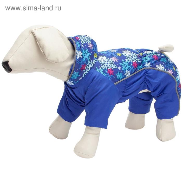 Комбинезон Osso для собак на синтепоне, кобель, р. 35 (ДС 35, ОШ 35, ОГ 46-56), синий
Комбинезон Osso для собак на синтепоне, кобель, р. 35 (ДС 35, ОШ 35, ОГ 46-56), синий