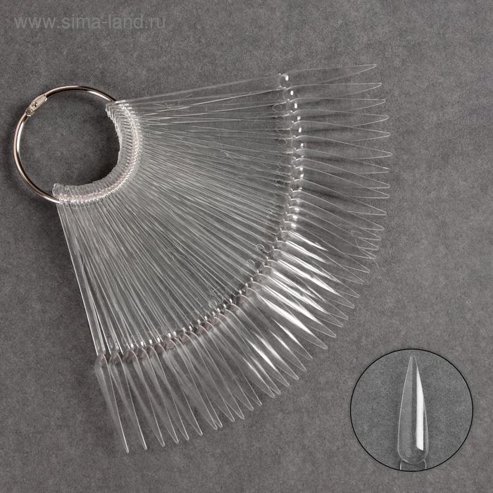 Палитра для лаков на кольце, 40 ногтей, форма стилет, цвет прозрачный
Палитра для лаков на кольце, 40 ногтей, форма стилет, цвет прозрачный