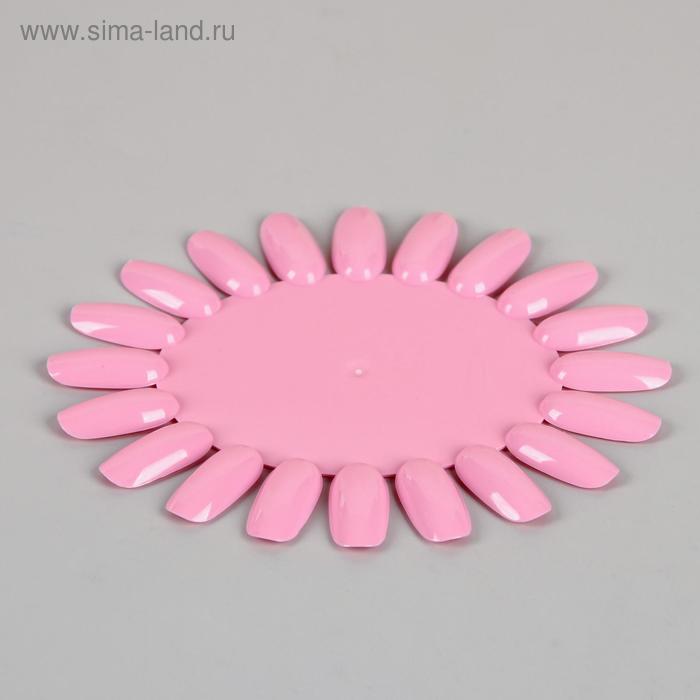 Палитра для лаков «Овальная», 20 ногтей, фасовка 10 шт, цвет розовый
Палитра для лаков «Овальная», 20 ногтей, фасовка 10 шт, цвет розовый