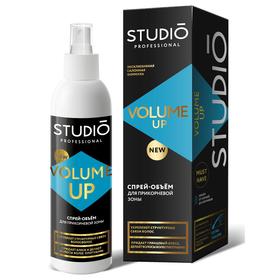 Спрей для объёма волос Studio Professional Volume Up, для прикорневой зоны, 200 мл
Спрей для объёма волос Studio Professional Volume Up, для прикорневой зоны, 200 мл