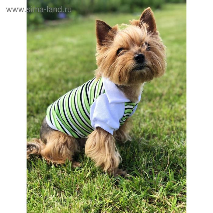 фото Футболка-поло osso для собак, размер 35 (дс 35, ог 43-45 см), зелёная osso fashion