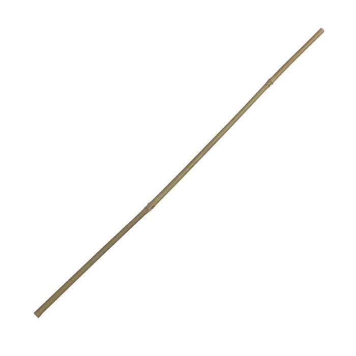 Колышек для подвязки растений, h = 60 см, ножка d = 0,8-1 см, бамбук
Колышек для подвязки растений, h = 60 см, ножка d = 0,8-1 см, бамбук