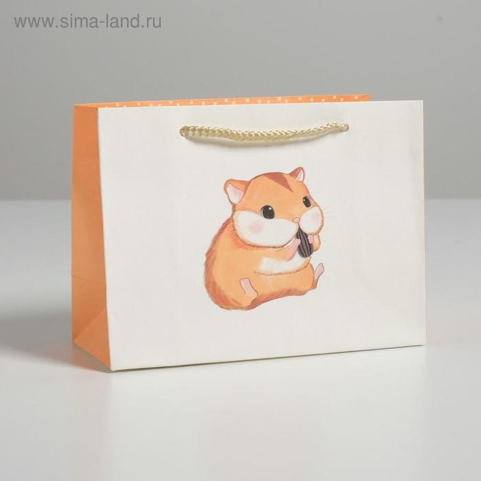 Пакет подарочный «Хрум», 14,5 × 19,5 × 8,5 см
Пакет подарочный «Хрум», 14,5 × 19,5 × 8,5 см