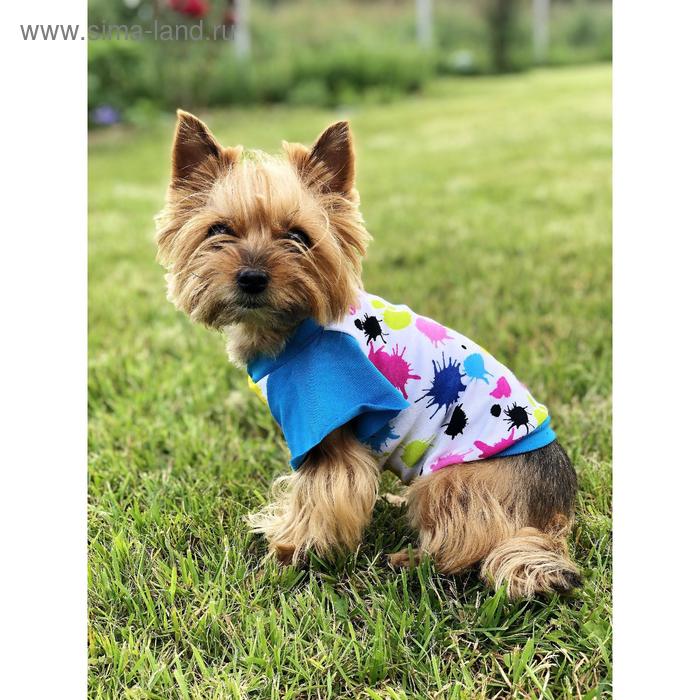 Футболка Osso с рюшей для собак «Кляксы», размер 25 (ДС 25, ОГ 35-37 см)
Футболка Osso с рюшей для собак «Кляксы», размер 25 (ДС 25, ОГ 35-37 см)