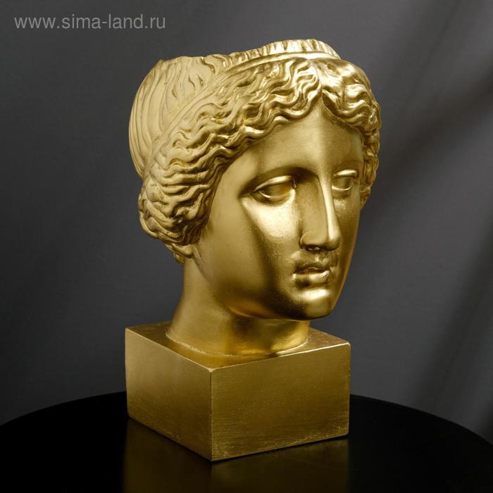 Кашпо гипсовое "Венера", золотое, 30 х 30 см, 2 л.
Кашпо гипсовое "Венера", золотое, 30 х 30 см, 2 л.