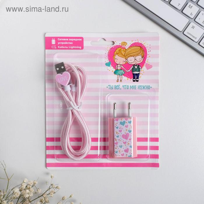 Набор кабель USB - Lightning и штекер «Любовь», 1 м
Набор кабель USB - Lightning и штекер «Любовь», 1 м