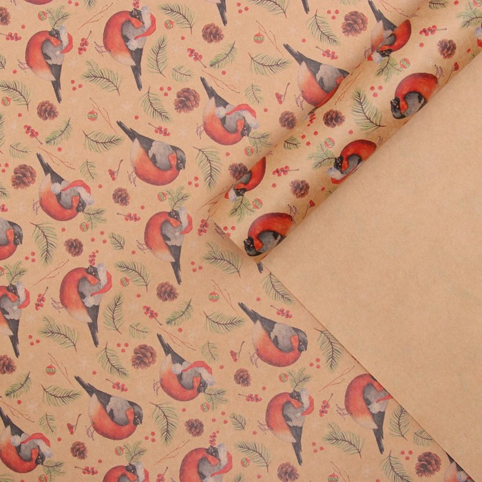 Бумага упаковочная крафтовая «Снегири», 50 × 70 см 
Бумага упаковочная крафтовая «Снегири», 50 × 70 см