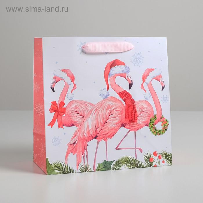 Пакет ламинированный квадратный «Новогодние фламинго», 22 × 22 × 11 см
Пакет ламинированный квадратный «Новогодние фламинго», 22 × 22 × 11 см