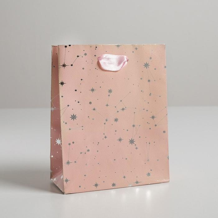 Пакет металлизированный горизонтальный «Мой космос», S 12 х 15 х 5,5 см
Пакет металлизированный горизонтальный «Мой космос», S 12 х 15 х 5,5 см