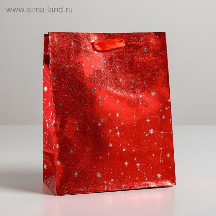 Пакет металлизированный горизонтальный «Мой космос», MS 18 х 23 х 10 см
Пакет металлизированный горизонтальный «Мой космос», MS 18 х 23 х 10 см