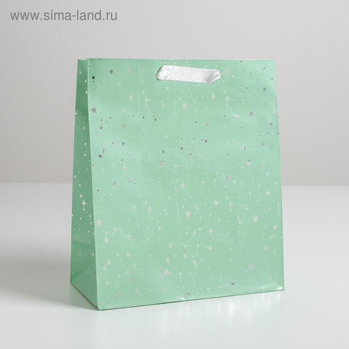 Пакет металлизированный горизонтальный «Мой космос», ML 23 х 27 х 11.5 см
Пакет металлизированный горизонтальный «Мой космос», ML 23 х 27 х 11.5 см