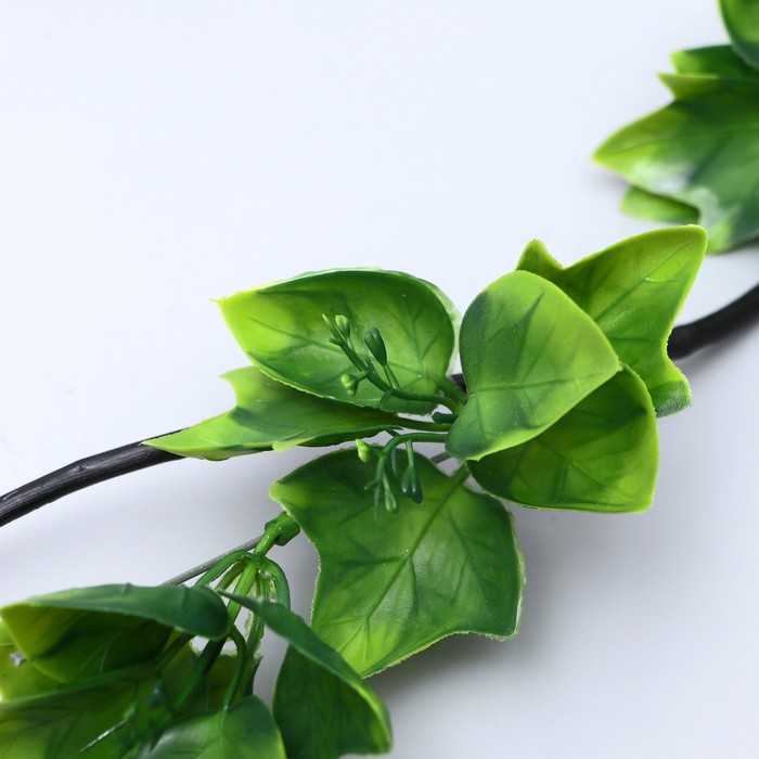 Декор тинги "Эпипремнум" 150 см (фасовка 5шт, цена за 1шт) микс
Декор тинги "Эпипремнум" 150 см (фасовка 5шт, цена за 1шт) микс