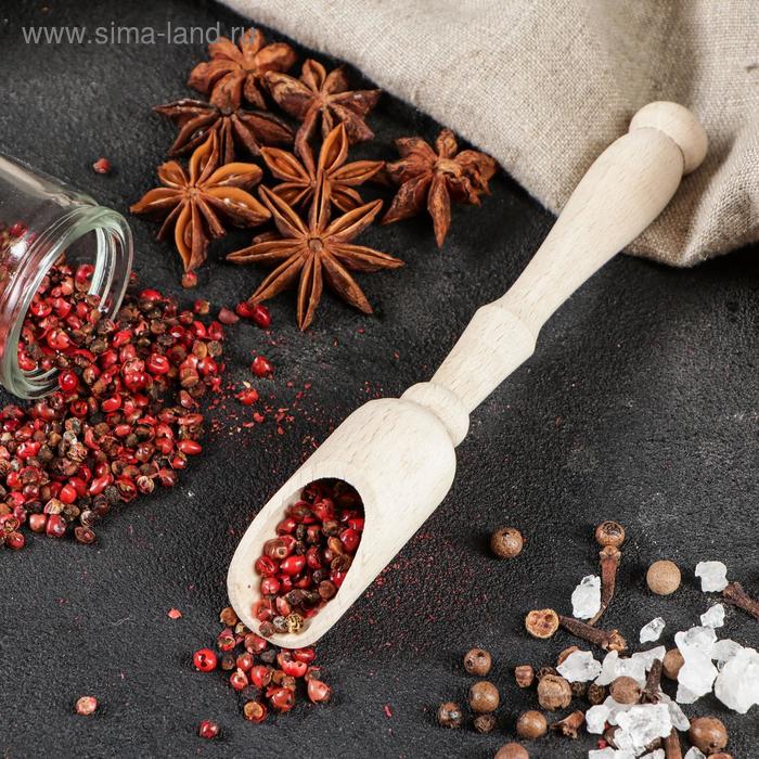 Совок для специй, 15,5×2,5 см, массив бука
Совок для специй, 15,5×2,5 см, массив бука