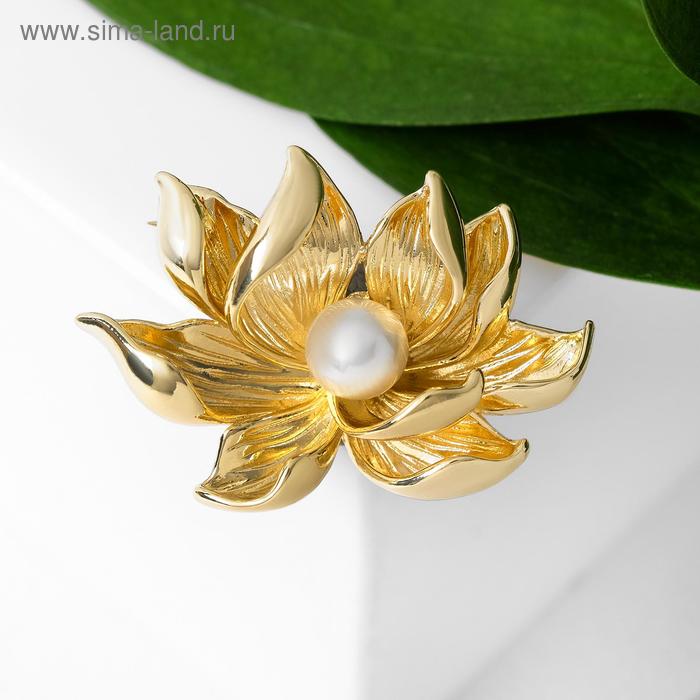 Брошь "Цветы" лотос, цвет белый в золоте
Брошь "Цветы" лотос, цвет белый в золоте