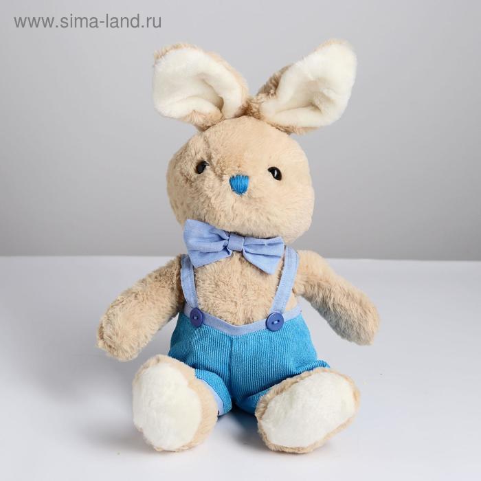 Мягкая игрушка «Заяц в шортах», цвета МИКС 
Мягкая игрушка «Заяц в шортах», цвета МИКС