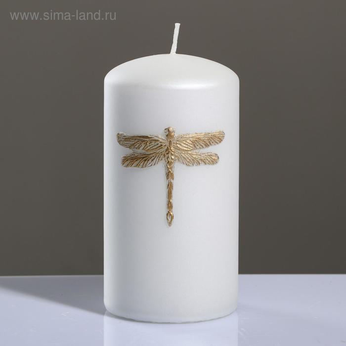 Свеча - цилиндр "Стрекоза", 7×13 см, бело-золотая
Свеча - цилиндр "Стрекоза", 7×13 см, бело-золотая