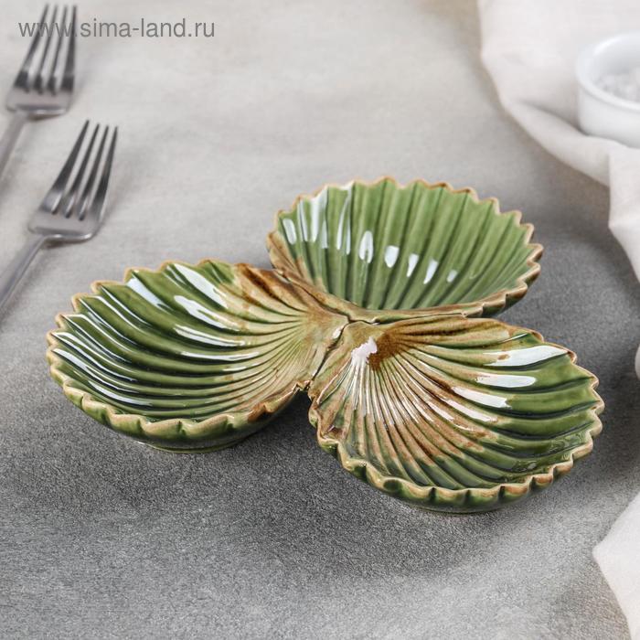 Менажница керамическая 3 ячейки «Дендрарий», 20×19×3,3 см
Менажница керамическая 3 ячейки «Дендрарий», 20×19×3,3 см